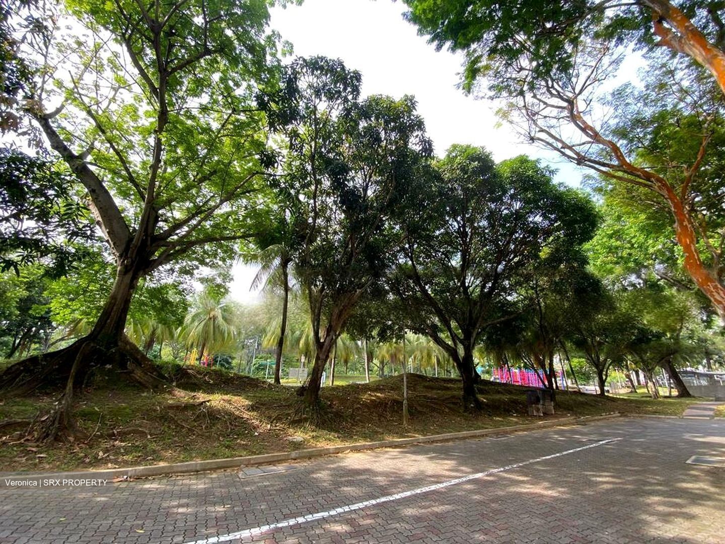 Blk 120C Rivervale Drive (Sengkang), HDB Executive #610219301